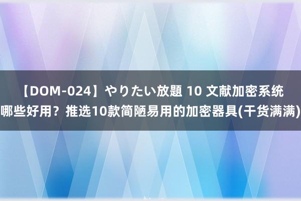 【DOM-024】やりたい放題 10 文献加密系统哪些好用？推选10款简陋易用的加密器具(干货满满)