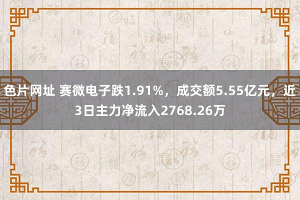 色片网址 赛微电子跌1.91%，成交额5.55亿元，近3日主力净流入2768.26万