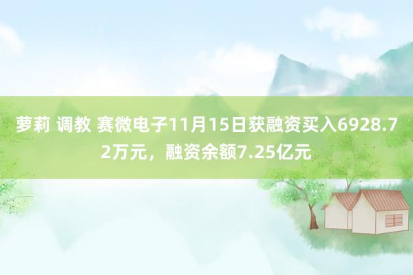 萝莉 调教 赛微电子11月15日获融资买入6928.72万元，融资余额7.25亿元