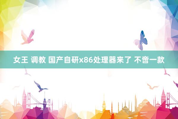 女王 调教 国产自研x86处理器来了 不啻一款