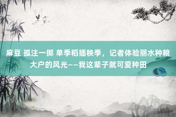 麻豆 孤注一掷 单季稻插秧季，记者体验丽水种粮大户的风光——我这辈子就可爱种田