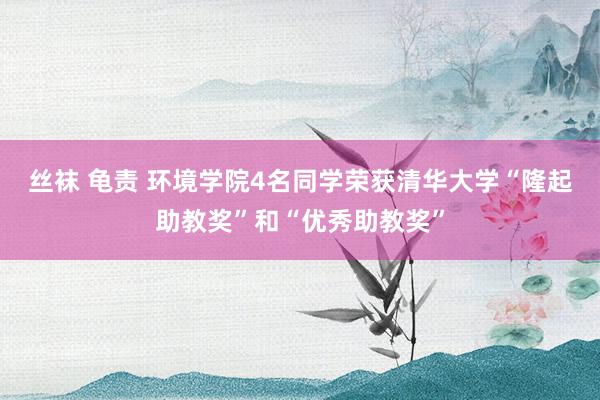 丝袜 龟责 环境学院4名同学荣获清华大学“隆起助教奖”和“优秀助教奖”