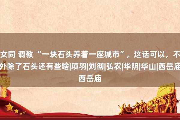 女同 调教 “一块石头养着一座城市”，这话可以，不外除了石头还有些啥|项羽|刘彻|弘农|华阴|华山|西岳庙