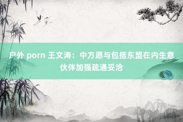 户外 porn 王文涛：中方愿与包括东盟在内生意伙伴加强疏通妥洽