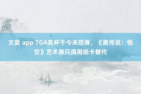 文爱 app TGA奖杯于今未现身，《黑传说：悟空》艺术展只得用纸卡替代