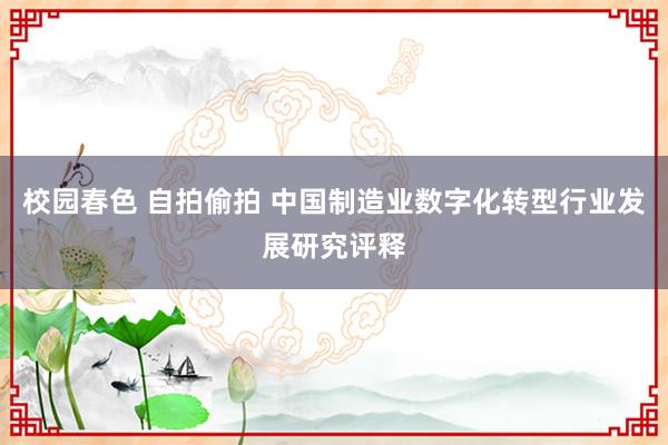 校园春色 自拍偷拍 中国制造业数字化转型行业发展研究评释
