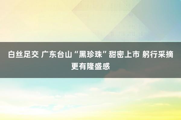 白丝足交 广东台山“黑珍珠”甜密上市 躬行采摘更有隆盛感