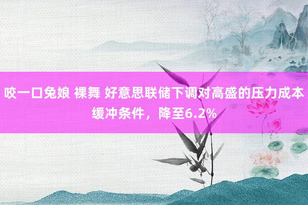 咬一口兔娘 裸舞 好意思联储下调对高盛的压力成本缓冲条件，降至6.2%