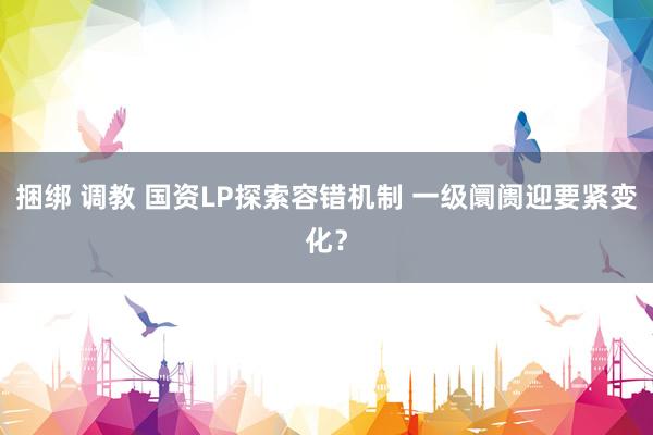 捆绑 调教 国资LP探索容错机制 一级阛阓迎要紧变化？