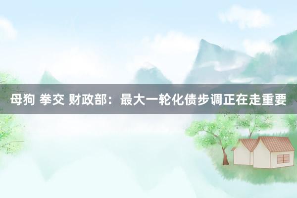 母狗 拳交 财政部：最大一轮化债步调正在走重要