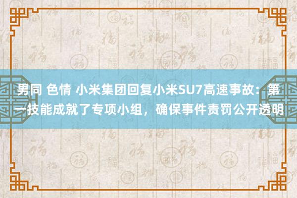 男同 色情 小米集团回复小米SU7高速事故：第一技能成就了专项小组，确保事件责罚公开透明